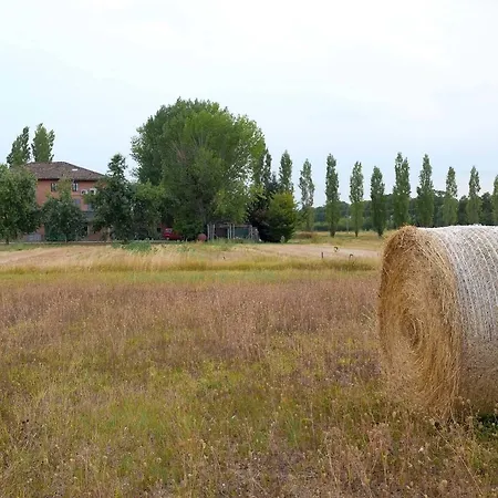 Il Prato Dei Conigli Oda ve Kahvaltı Castelfranco Emilia